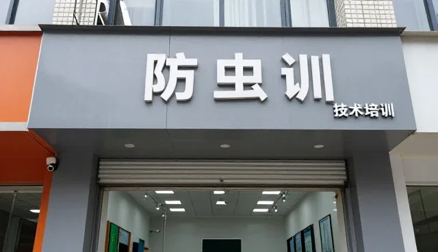 技术开发与维护如何影响系统性能与适用条件